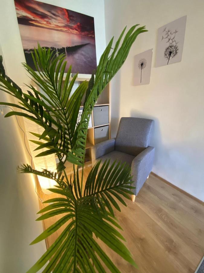 Apartment Dora Zadar Bagian luar foto