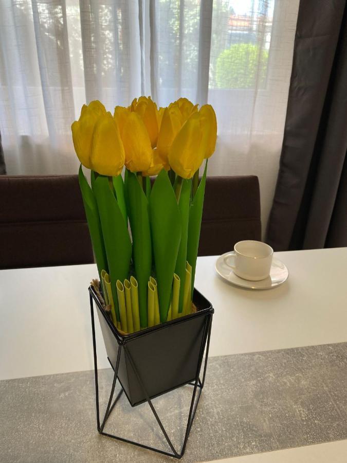 Apartment Dora Zadar Bagian luar foto