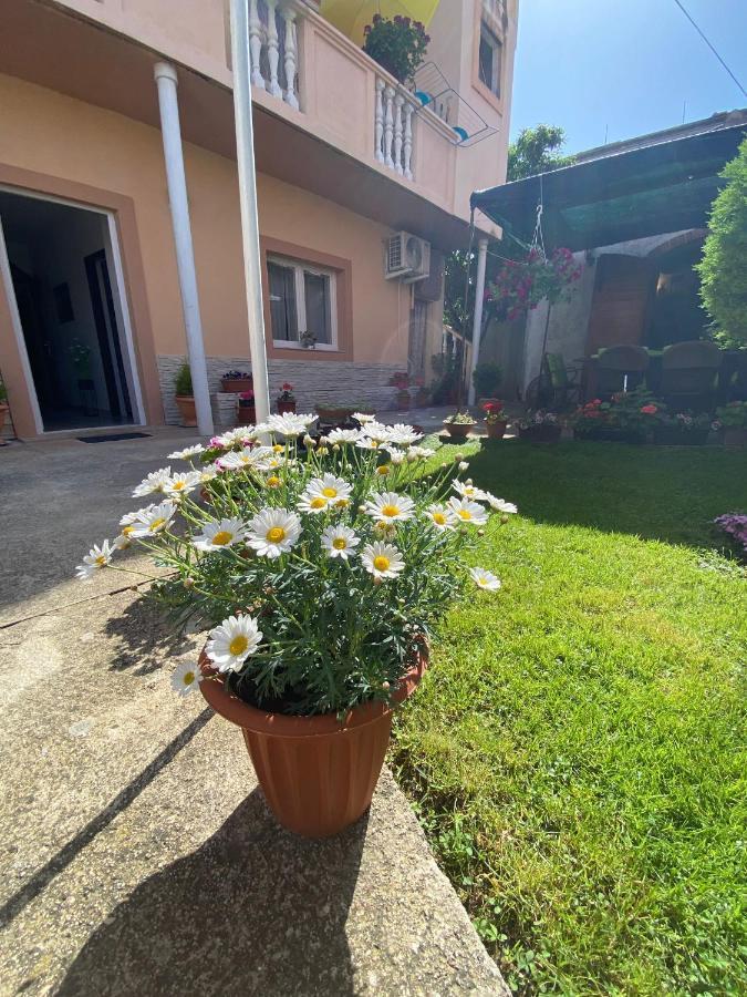 Apartment Dora Zadar Bagian luar foto